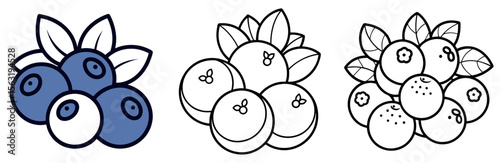 Various Blueberries Coloring Book Page - Outline Vector Line Art