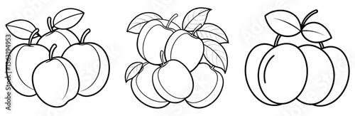 Various Plums Coloring Book Page - Outline Vector Line Art