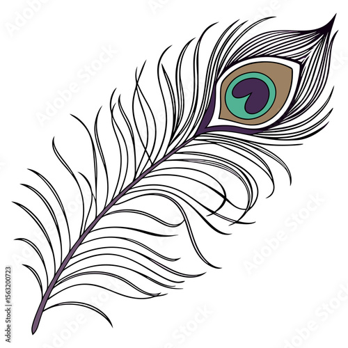 Floral peacock feather vector design isolated on white, a seamless nature art illustration