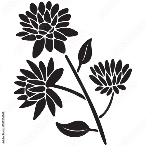Black and white floral vector illustration with natural elements and artistic flower design