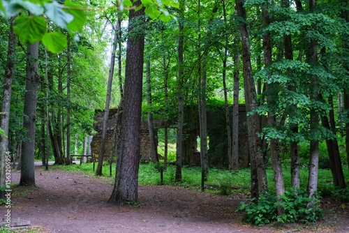 Fototapeta Naklejka Na Ścianę i Meble -  Abandoned military bunker in the forest on a sunny summer day, Wolf's Lair, Mazury, Poland