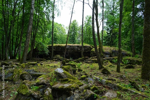 Fototapeta Naklejka Na Ścianę i Meble -  Abandoned military bunker in the forest on a sunny summer day, Wolf's Lair, Mazury, Poland