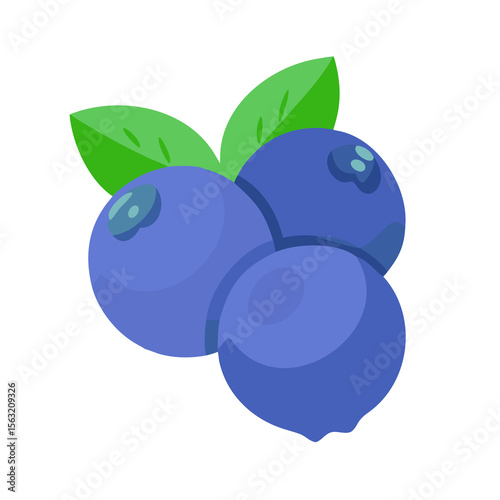 vector illustration of fresh blueberries