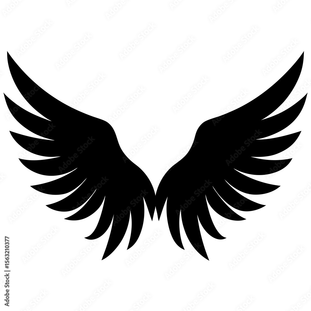 Fototapeta premium Angel Wings Silhouette