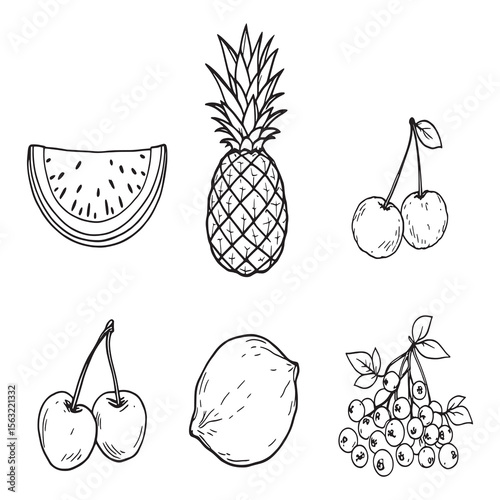 Minimalist fresh fruit drawings for healthy food design