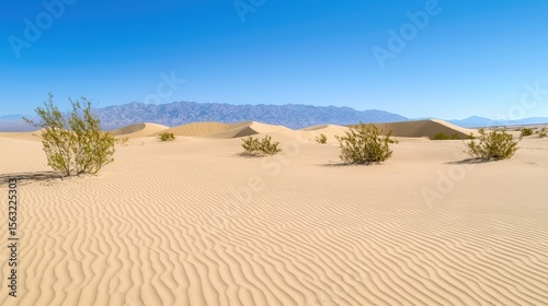 Sharp delineation between shaded valleys and sunlit peaks of sand dunes, maximizing dimensionality