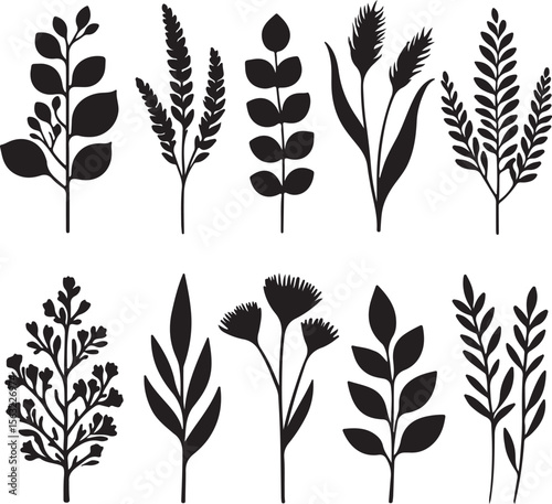 Botanical plant silhouettes leaf branch