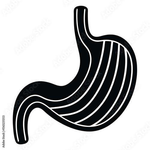 Black and white stomach organ illustration with internal lines human anatomy digestive system