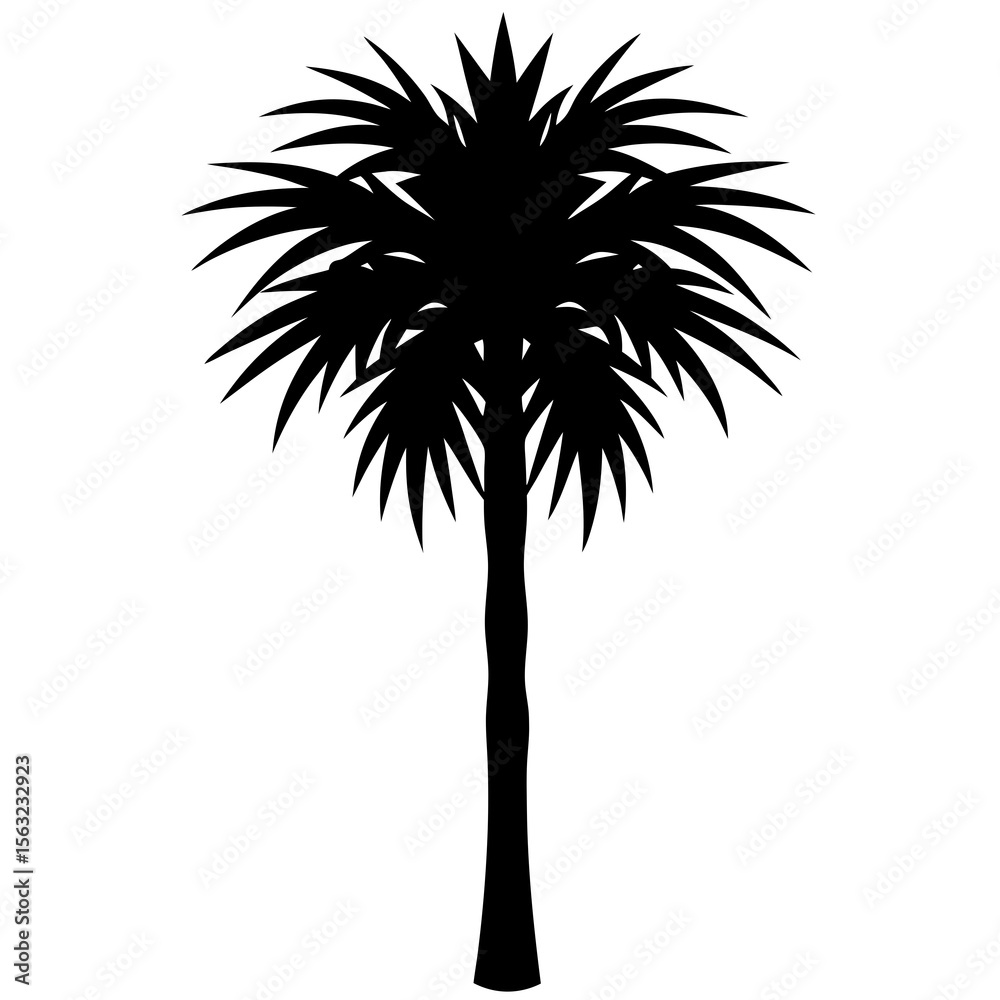 Obraz premium palm tree silhouette vector
