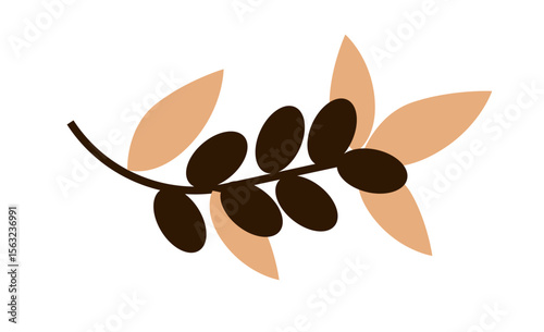 Olive branch with brown olives and beige leaves. Mediterranean food and plant concept.