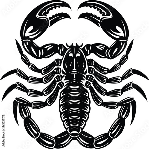 Black scorpion vector silhouette illustration with dangerous sting and claws, isolated on white ,creepy, abstract, strong, strong hold, aggressive