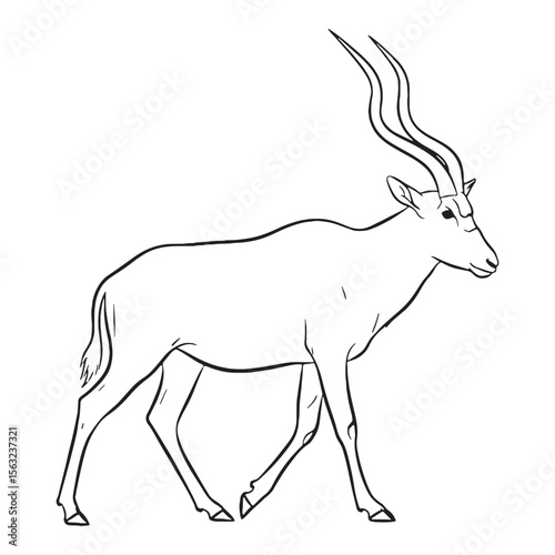 Educational Addax Vector Graphic - Informative Addax Lineart for Presentations - Helpful Addax Icon - Insightful Vector Lineart of Addax for Learning


