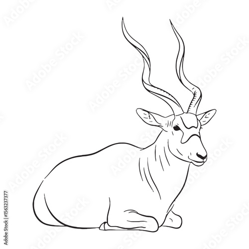 Sharp Addax Vector Outline - Crisp Addax Lineart for Logo Design - Defined Addax Icon - High Resolution Vector Lineart of Addax Asset

