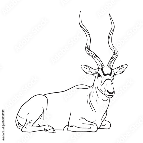 Expressive Addax Vector Drawing - Precise Addax Lineart for Print Media - Compelling Addax Icon - Detailed Vector Lineart of Addax for Artwork

