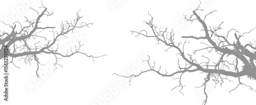 Gray shadow of leaves isolated on white background. Plant foliage leaf shadow light effect. Mockup Blurred tree branch shadow. Ideal for summer spring design elements, shadow overlay effect