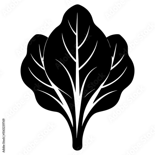 silhouette of a spinach
