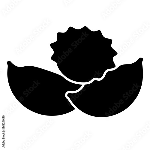 vector illustration of a tortellini