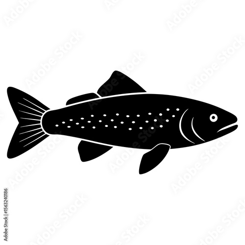 fish isolated on white background