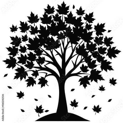 Black silhouette maple tree falling leaves autumn maple leaves