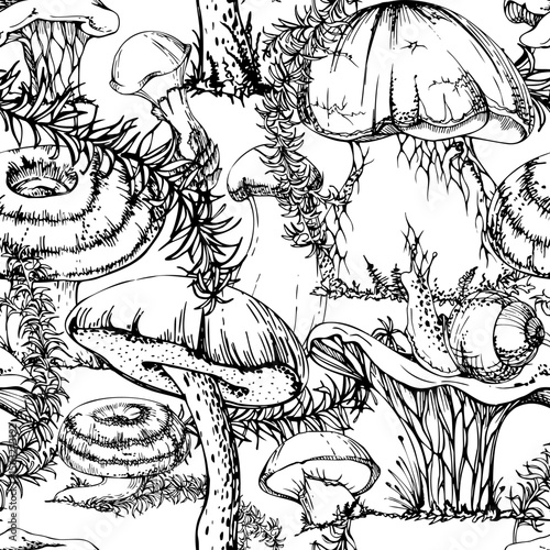 Golden chanterelle girolle, russula webcap birch bolete suillus slippery jack mushrooms, horsetail plant stalks. Fungi nature seamless pattern tile hand drawn in vector ink. Wild food market packaging