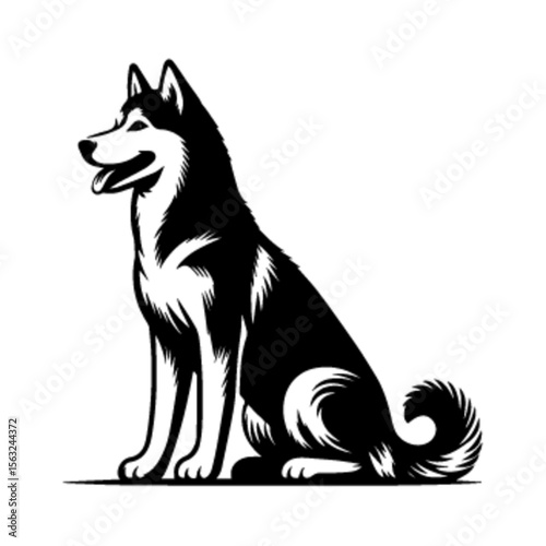 Majestic Husky Dog Vector Illustration – Husky Dog 11