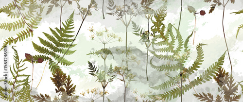Fern__Back-03_02.eps