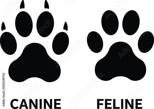 Minimalist Paw Print Icon Set with Canine and Feline Symbols, Bold Black Silhouette Style for Pet and Animal Use