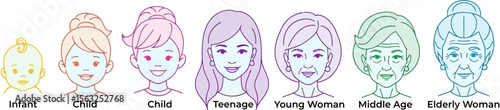 Woman life cycle stages illustration from infant to elderly, female aging process faces timeline vector