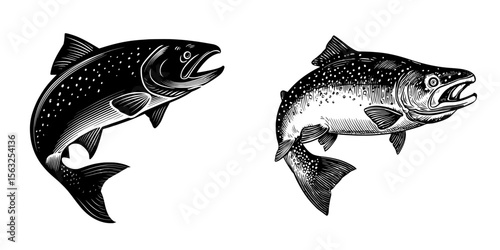 A modern art silhouette illustration of salmon trout fish is set against a white background