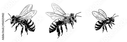 The illustration features a flying bee icon isolated on a white background, shown from a modern side-view perspective