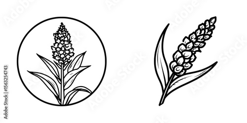 The Sorghum Icon and Sorgo Grass Leaf Symbol Stock Illustration are examples of modern line icons used in UI web design and presentation