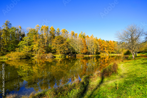 Landscape at the Gerolstein reservoir in autumn. Idyllic nature at the lake in the Eifel region.
