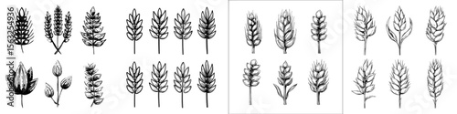 A collection of golden wheat ears serves as a modern icon for agriculture, with a contemporary logo template set against a white background
