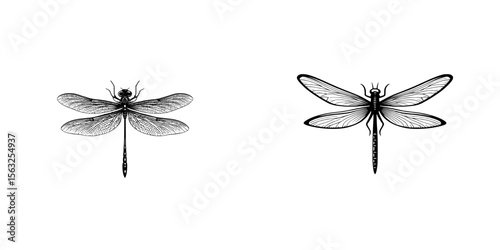 Modern illustration of a minimalist and flat dragonfly logo