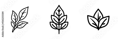 Modern icon representing a plant leaf outline with customizable borders, symbolizing organic and eco-friendly products