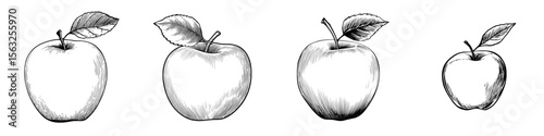 A basic illustration of an apple is presented in black and white, featuring a lone leaf connected to the stem