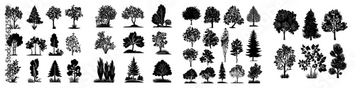 Modern illustrations feature isolated silhouettes of various spring and summer plants, trees, and bushes on a white background, including Magnolia, Maple, Lilac, Castor, Acacia, Fir, Pine, Chestnut,