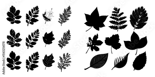 A collection of autumn leaves in a flat design style features green, red, and orange hues, including maple, spruce, oak, rowan, and birch leaves on a white background
