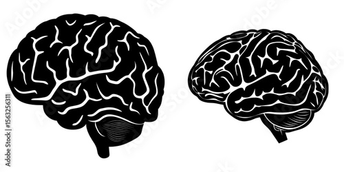 Modern line art icon depicting a side view of the brain or mind for use in medical applications and websites