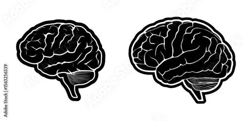 A side view of the brain or mind is illustrated in a modern flat icon suitable for medical apps and websites