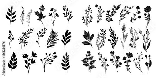 A contemporary assortment of manually illustrated flora, comprising a botanical series of sketched blossoms and twigs