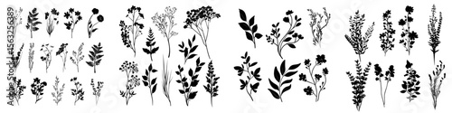 A contemporary assortment of manually illustrated flora, comprising a botanical series of sketched blossoms and twigs