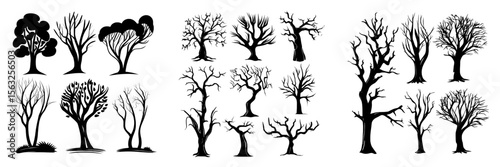 Silhouettes of naked trees are set in hand drawn isolated illustrations