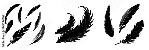 Modern clipart featuring a detailed feather set in various shapes, including 3D realistic black fluffy twirled feathers isolated on a white background for design templates or angel and bird artwork