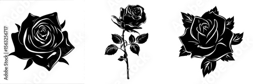A contemporary rose blossom serves as a standalone illustration component, rendered in a black and white engraved ink art style