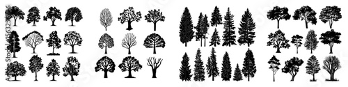 A set of trees isolated on a white background, depicted in a modern illustration style, has been collected
