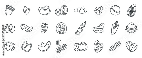  nuts seeds peanuts icons quality agriculture product hazelnut cocoa coconut almond pistachio pea vecter