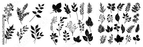 Autumn collection featuring hand drawn seasonal plants and leaves