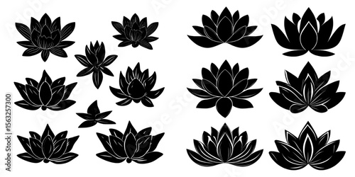 A modern set of linear icons and a black glyph of lotus flowers