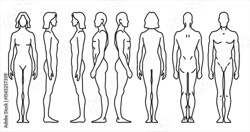 line figure person front back side man woman human three angles diagrams